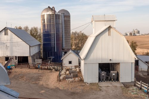 Aerial view of a rural farm featuring white barns, silos, and livestock in a fenced area, surrounded by open fields and additional farm structures.